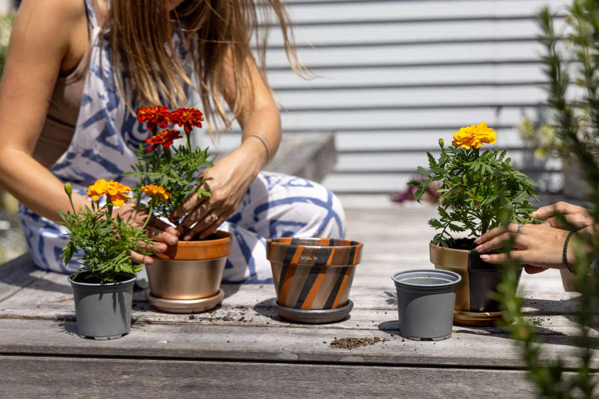 DIY Painted Pot Plants with White Knight Squirts