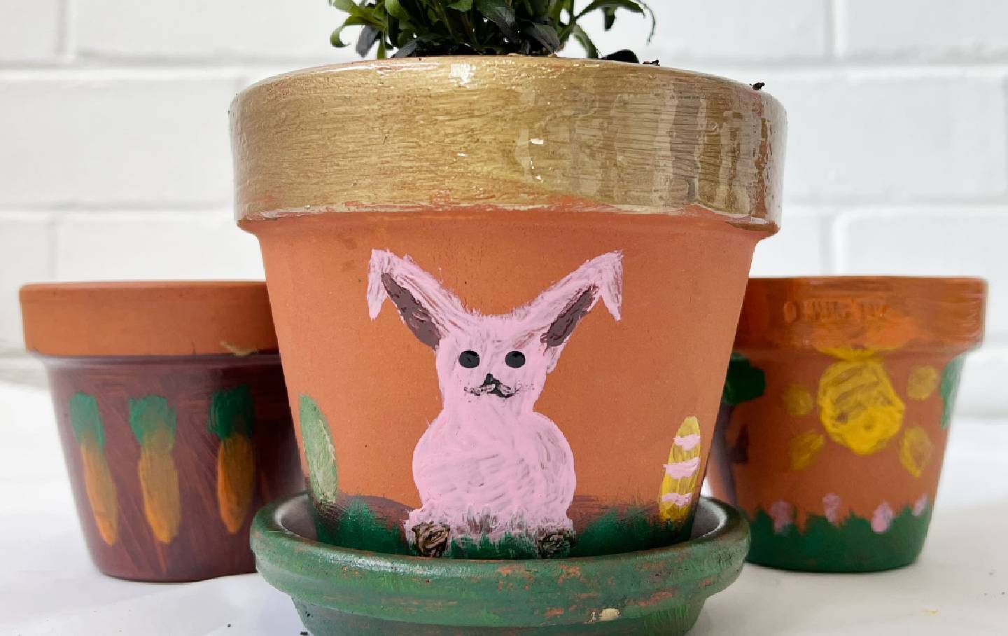 Create Easter-Themed Terracotta Pots